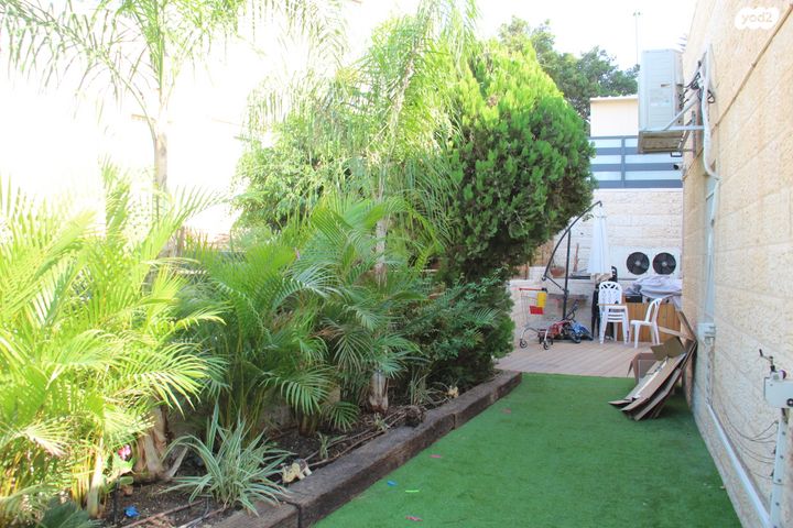 דירה, צמח השדה, מעלה אדומים