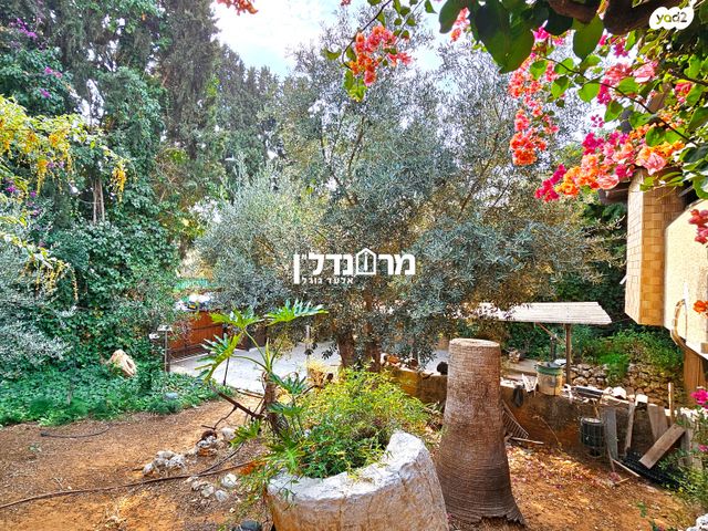 מגרשים, יגאל אלון, הרצליה הירוקה, נווה עובד, הרצליה