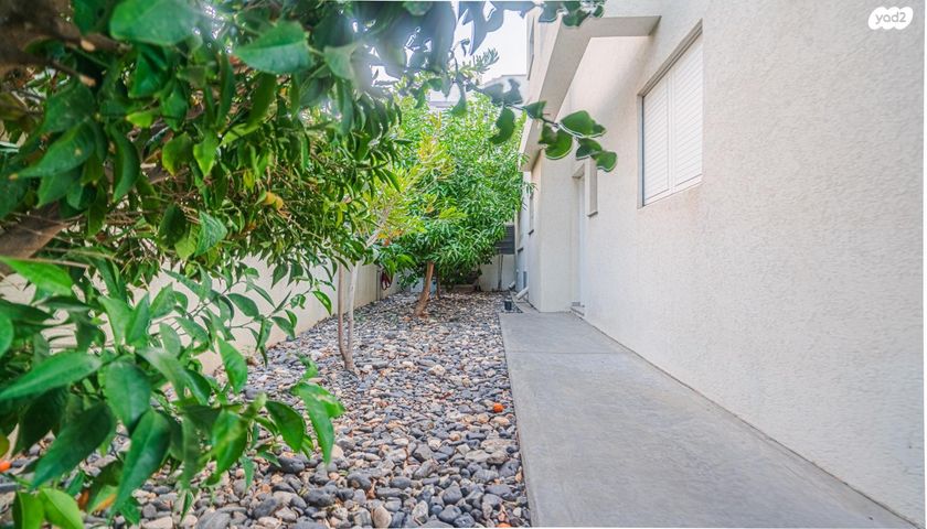 דו משפחתי, ברנע, אשקלון