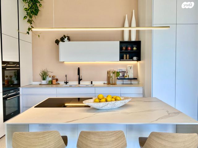 דו משפחתי, אלכסנדרוני, רמת חן, רמת גן