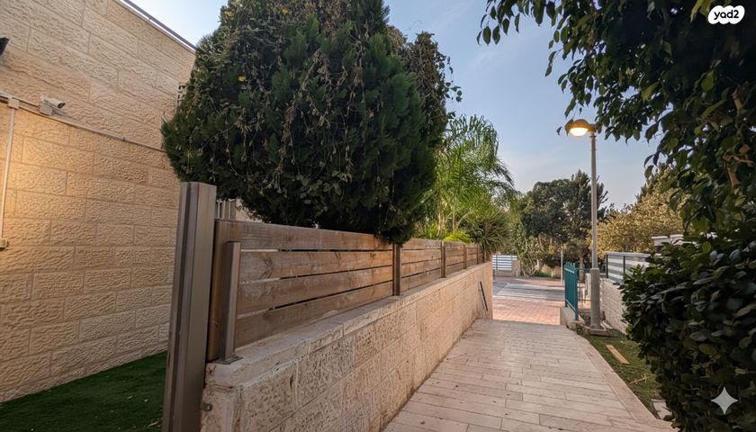 דירה, צמח השדה, מעלה אדומים