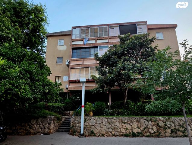 ישראל שפירא 