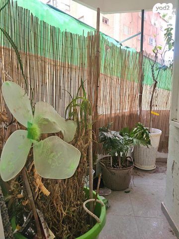 דירה, מיכאל, גאולה, חיפה