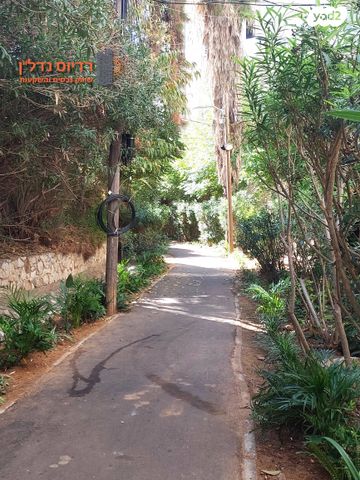 דירה, כצנלסון, שינקין, גבעתיים