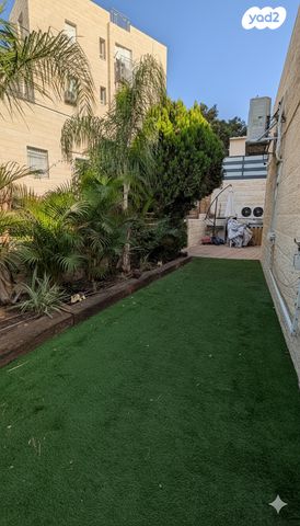 דירה, צמח השדה, מעלה אדומים