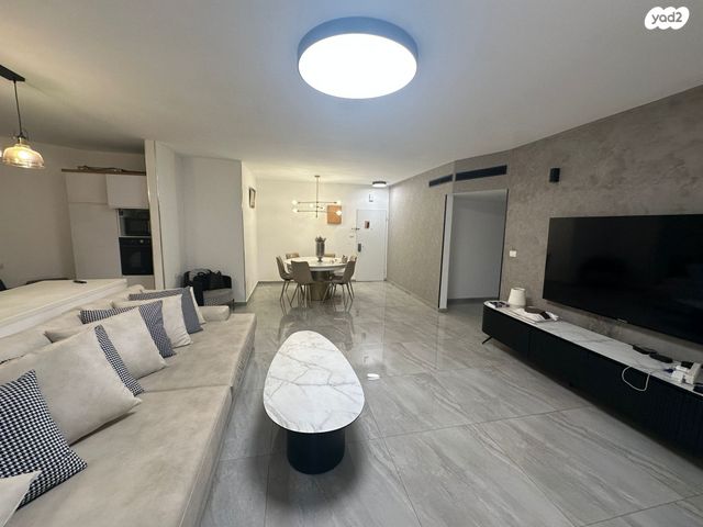 דוד וולפסון 