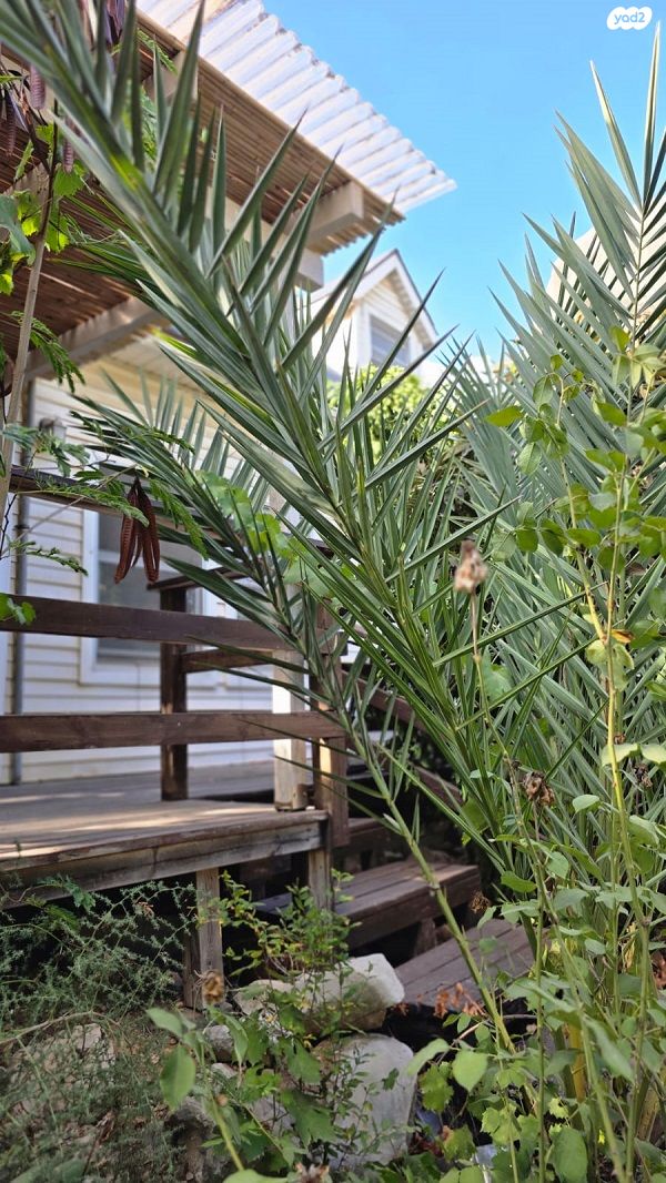 בית פרטי/ קוטג', אלון הגליל