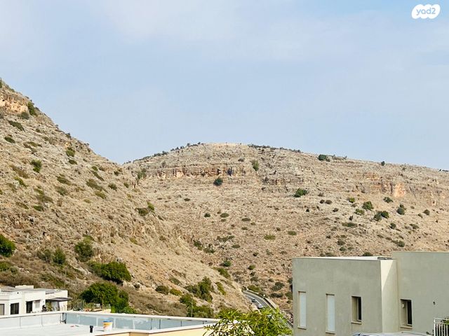 בית פרטי/ קוטג', רימון, שורשים, שורשים