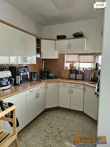 דירה, האייל, מלחה, מנחת, ירושלים