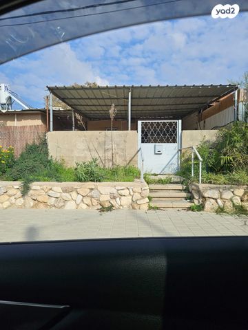 צביה המלכה 1