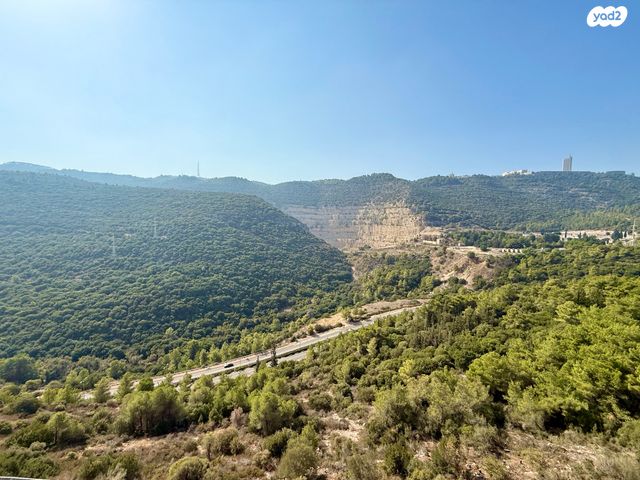 דירה, דוכיפת, רמות יצחק, נשר