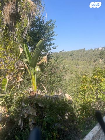 בית פרטי/ קוטג', בית זית, בית זית