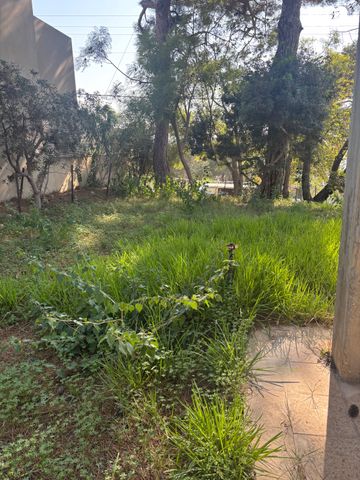 הוד הכרמל, דניה