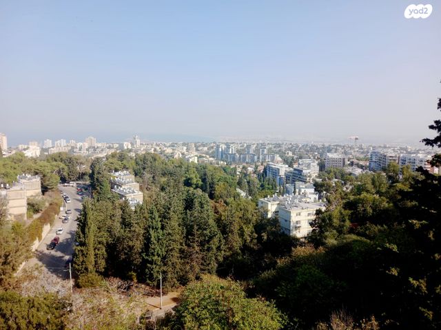 יהודה בורלא 