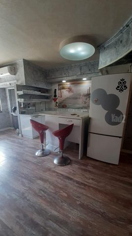 מרגולין 31