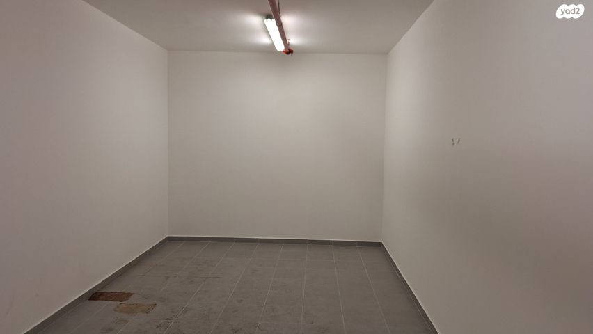 ראול ולנברג 20