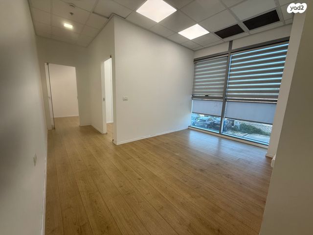 אלי הורוביץ 