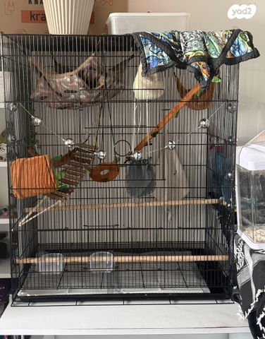 תמונת מודעה - חיות מחמד