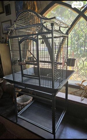 תמונת מודעה - חיות מחמד