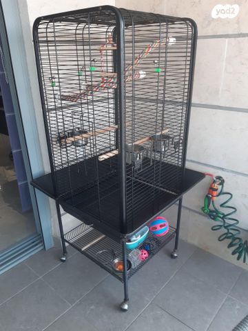 תמונת מודעה - חיות מחמד