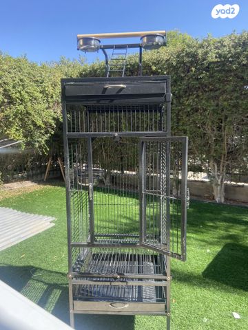 תמונת מודעה - חיות מחמד