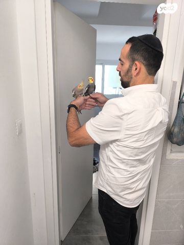 תמונת מודעה - חיות מחמד