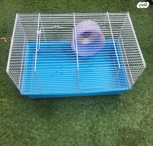 תמונת מודעה - חיות מחמד