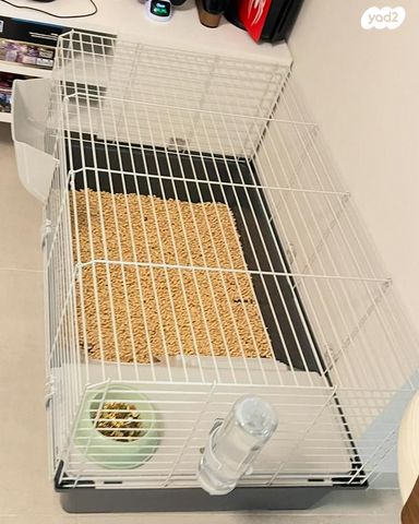 תמונת מודעה - חיות מחמד