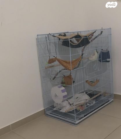 אביזרים | כלוב