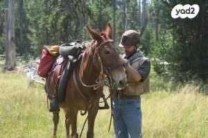 אביזרים | קסדת רכיבה
