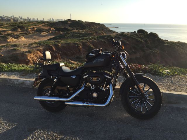 מודעת רכב הרלי דיווידסון איירון 883