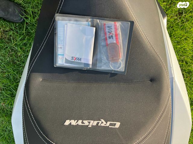 סאן יאנג קרוזים 300