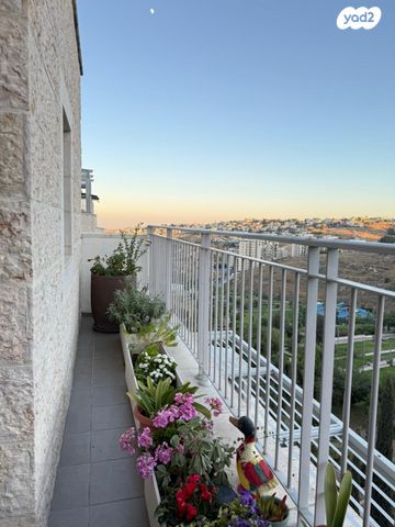 שלמה ארגוב 6