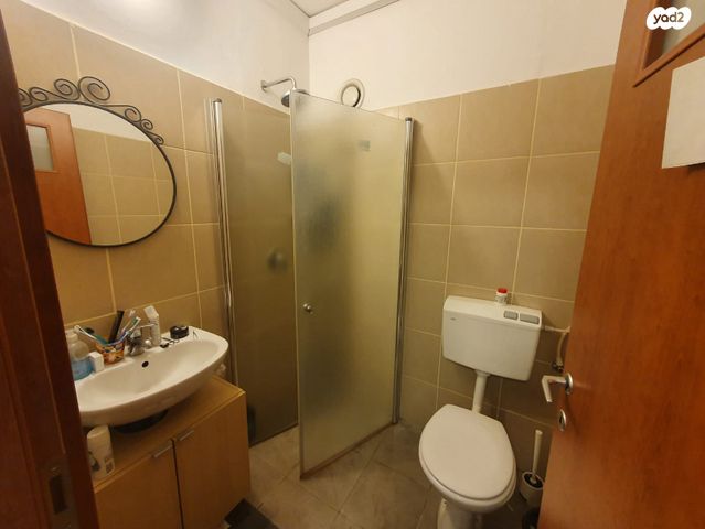 אלכסנדר ינאי 17