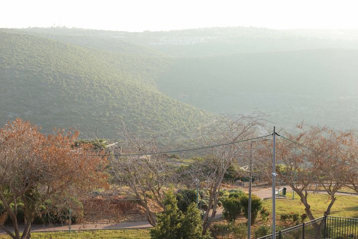 דירה, נתיבות שלום 3, עמנואל, עמנואל