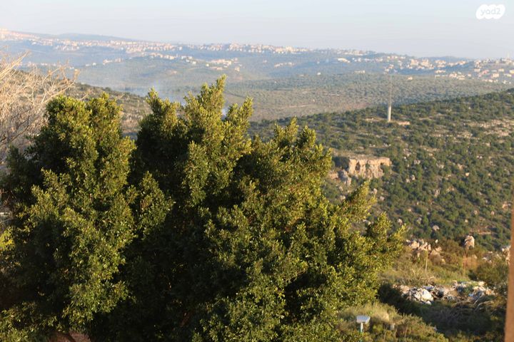 דירה, נתיבות שלום 3, עמנואל, עמנואל