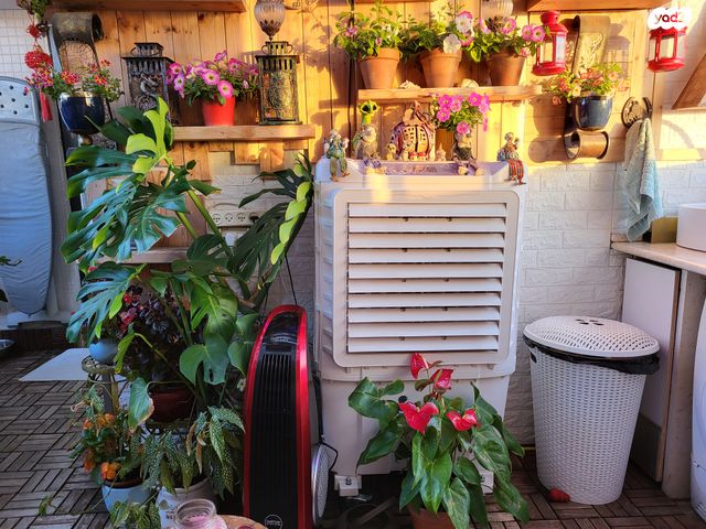 גג/ פנטהאוז, דוד המלך 5, רובע י"ג, אשדוד