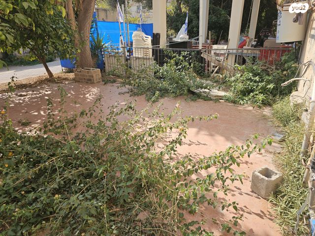 דירת גן, המלך דוד 6, נווה דוד, חיפה