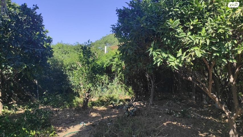 בית פרטי/ קוטג', רש"י 13, מרכז עפולה עלית, עפולה