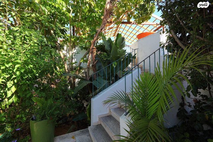 דירה, שדרות בן גוריון 3, גבעת עדן, זכרון יעקב