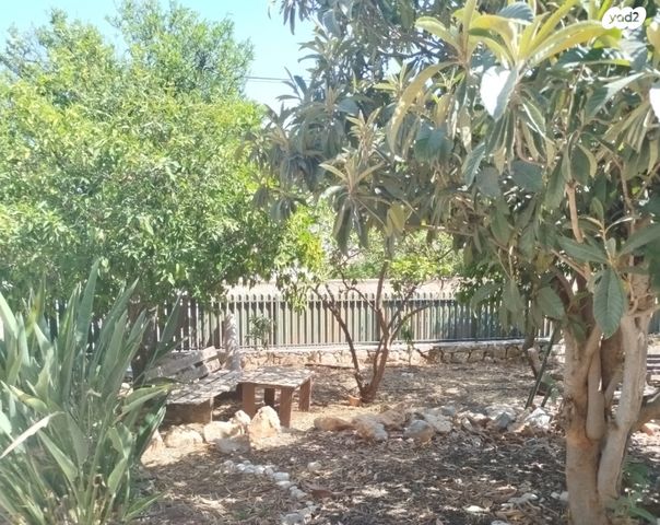 יחידת דיור, הדקל 6, שאר העיר, חצור הגלילית