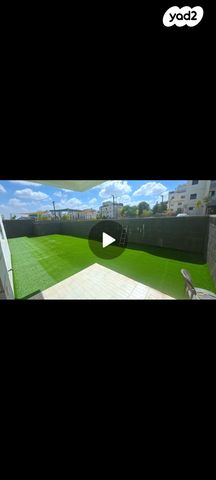 מאיר הר ציון 3