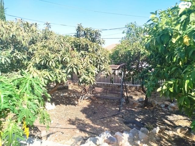 יחידת דיור, הדקל 6, שאר העיר, חצור הגלילית