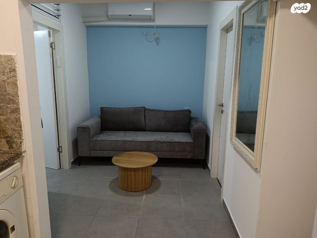 דוד וולפסון 24