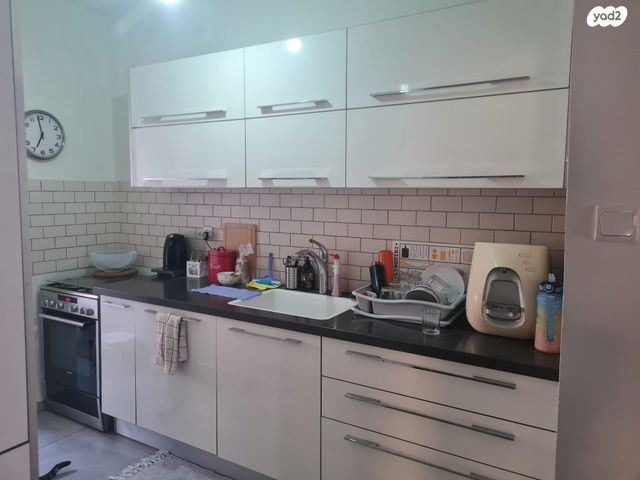 פנחס רוטנברג 28