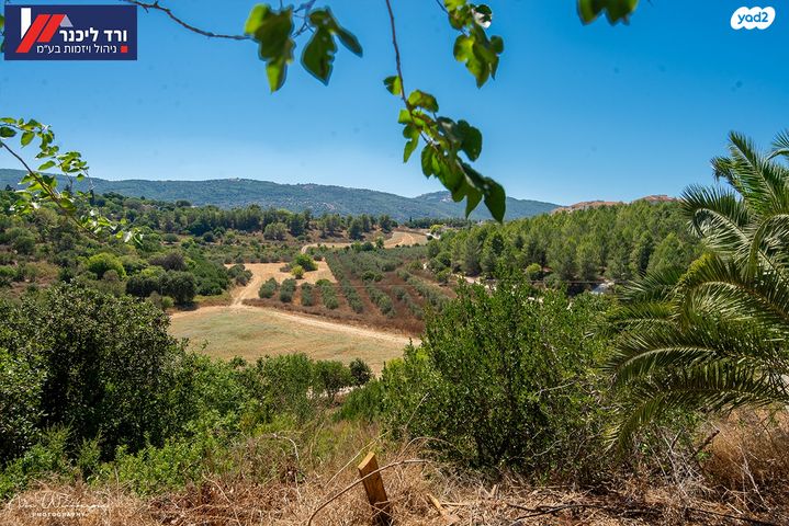 דו משפחתי, קרית עמל, קרית טבעון