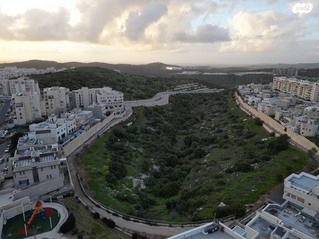 חבקוק הנביא 