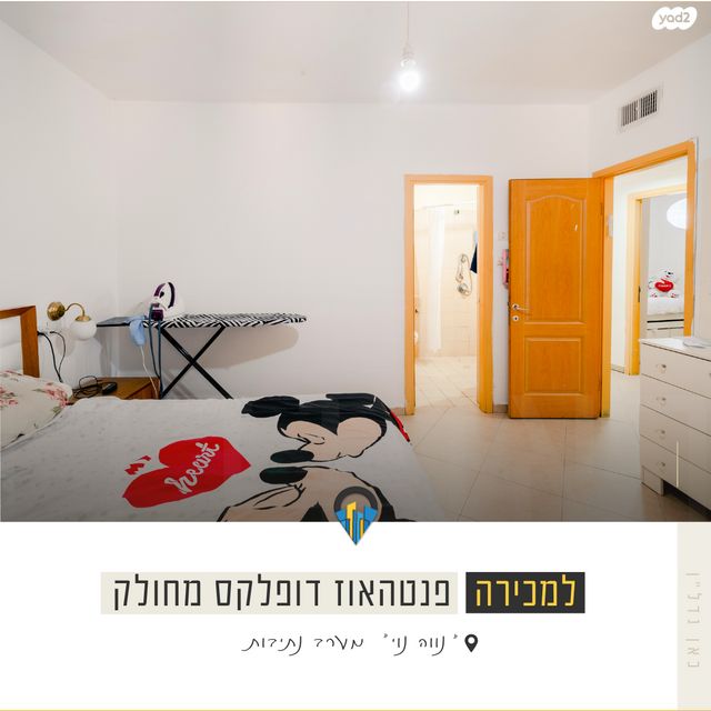 גג/ פנטהאוז, חרצית, נתיבות