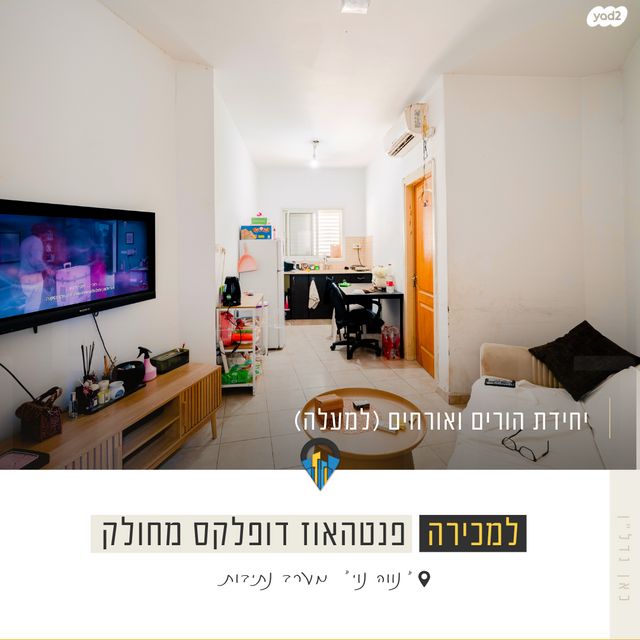 גג/ פנטהאוז, חרצית, נתיבות