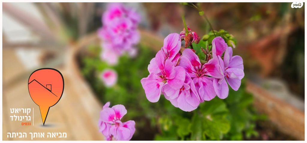 דירה, אהבה 27, מגדיאל, הוד השרון